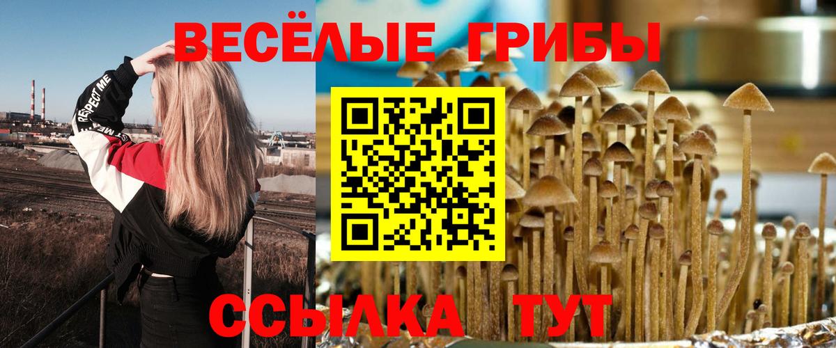 Псилоцибиновые грибы ЛСД Карталы