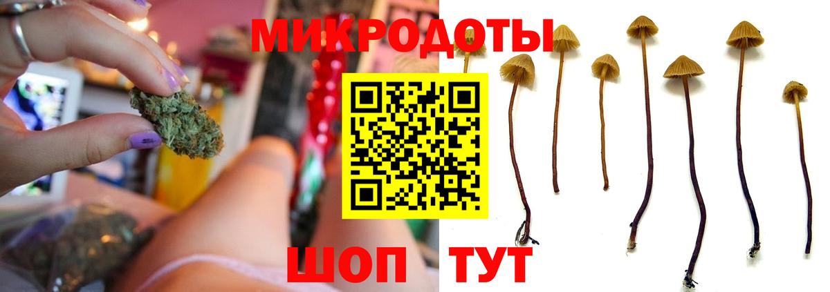 Галлюциногенные грибы ЛСД  Галлюциногенные грибы Psilocybe  Вход с VPN  Карталы 