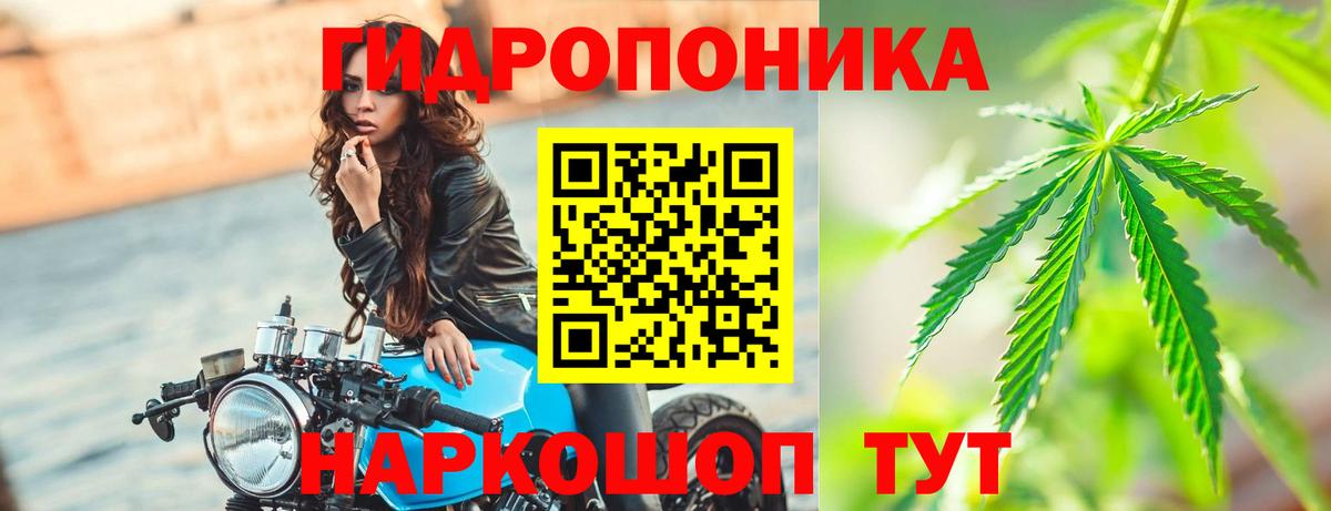 Каннабис SATIVA & INDICA  Вход с VPN  Карталы  Бошки Шишки White Widow 